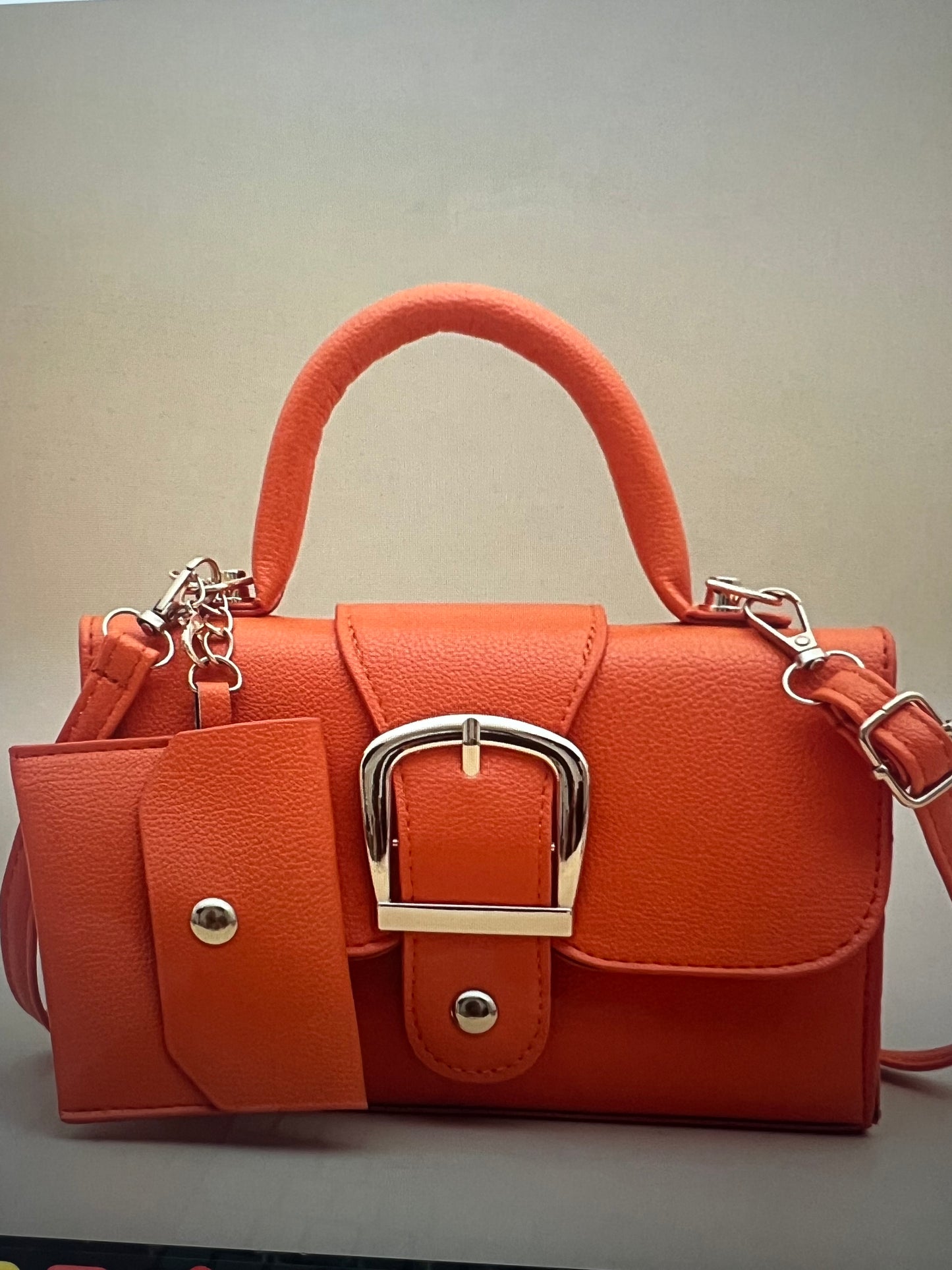 Slaying The Day Handbag