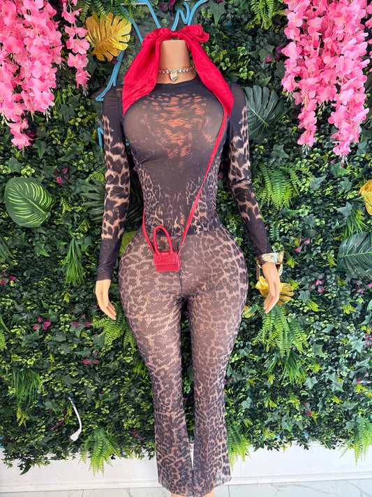 Wild Desires Two Piece Set