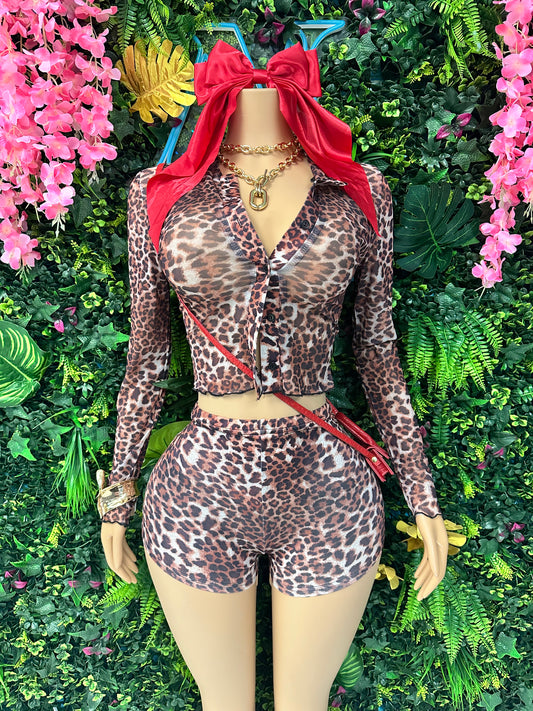 Well Behaved See Through Top